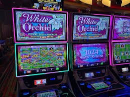 6680bet